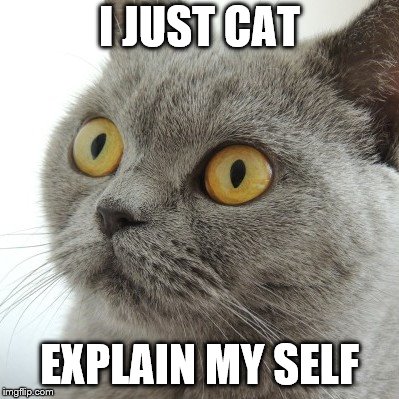 I JUST CAT EXPLAIN MY SELF | made w/ Imgflip meme maker