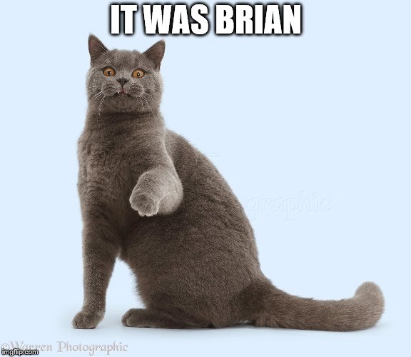 IT WAS BRIAN | made w/ Imgflip meme maker