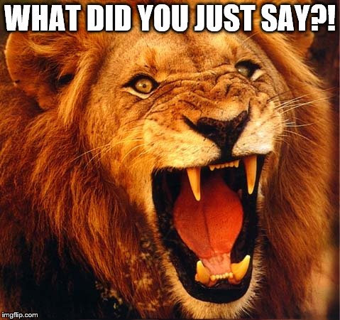 Angry lion | WHAT DID YOU JUST SAY?! | image tagged in angry lion | made w/ Imgflip meme maker