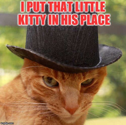 I PUT THAT LITTLE KITTY IN HIS PLACE | made w/ Imgflip meme maker