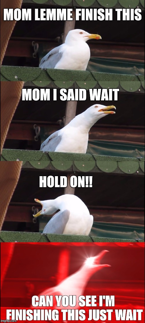 Inhaling Seagull | MOM LEMME FINISH THIS; MOM I SAID WAIT; HOLD ON!! CAN YOU SEE I'M FINISHING THIS JUST WAIT | image tagged in memes,inhaling seagull | made w/ Imgflip meme maker