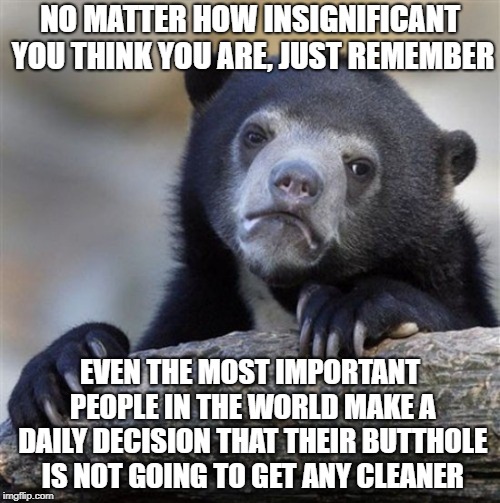 You're important, and important people call a lot of the same shots you do! | NO MATTER HOW INSIGNIFICANT YOU THINK YOU ARE, JUST REMEMBER; EVEN THE MOST IMPORTANT PEOPLE IN THE WORLD MAKE A DAILY DECISION THAT THEIR BUTTHOLE IS NOT GOING TO GET ANY CLEANER | image tagged in confession bear hd,advice,inspirational | made w/ Imgflip meme maker