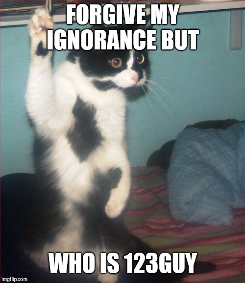question cat | FORGIVE MY IGNORANCE BUT WHO IS 123GUY | image tagged in question cat | made w/ Imgflip meme maker