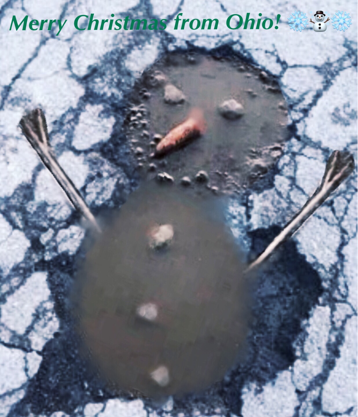 Kara Moreland Blank Meme Template