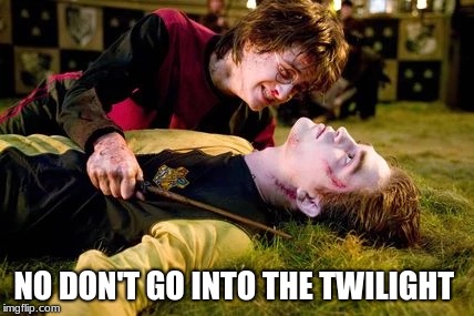 NO DON'T GO INTO THE TWILIGHT | image tagged in harry potter meme | made w/ Imgflip meme maker