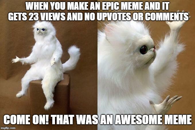 Happens way too often! | WHEN YOU MAKE AN EPIC MEME AND IT GETS 23 VIEWS AND NO UPVOTES OR COMMENTS; COME ON! THAT WAS AN AWESOME MEME | image tagged in taxidermy cat,cats,wtf,fail | made w/ Imgflip meme maker