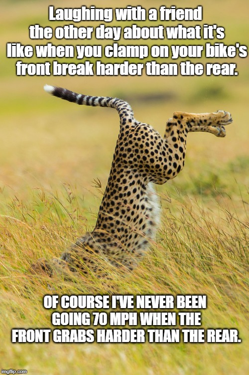 Front Brake | Laughing with a friend the other day about what it's like when you clamp on your bike's front break harder than the rear. OF COURSE I'VE NEVER BEEN GOING 70 MPH WHEN THE FRONT GRABS HARDER THAN THE REAR. | image tagged in wildlife | made w/ Imgflip meme maker
