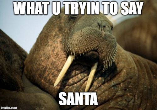 Sexual Deviant Walrus Meme | WHAT U TRYIN TO SAY SANTA | image tagged in memes,sexual deviant walrus | made w/ Imgflip meme maker
