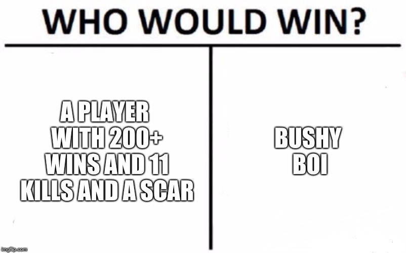 Who Would Win? | A PLAYER WITH 200+ WINS AND 11 KILLS AND A SCAR; BUSHY BOI | image tagged in memes,who would win | made w/ Imgflip meme maker