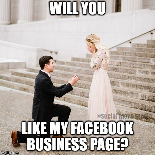 Will You LIKE My Facebook Business Page?  | image tagged in facebook,business,meme,social more media | made w/ Imgflip meme maker