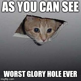 Ceiling Cat Meme | AS YOU CAN SEE; WORST GLORY HOLE EVER | image tagged in memes,ceiling cat | made w/ Imgflip meme maker
