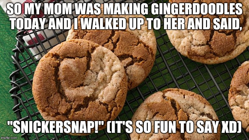 Ginger Snaps + Snickerdoodle = Snickersnap | SO MY MOM WAS MAKING GINGERDOODLES TODAY AND I WALKED UP TO HER AND SAID, "SNICKERSNAP!" (IT'S SO FUN TO SAY XD) | image tagged in memes,funny,snickersnap,gingerdoodle,cookies,lolgetrektnoob | made w/ Imgflip meme maker