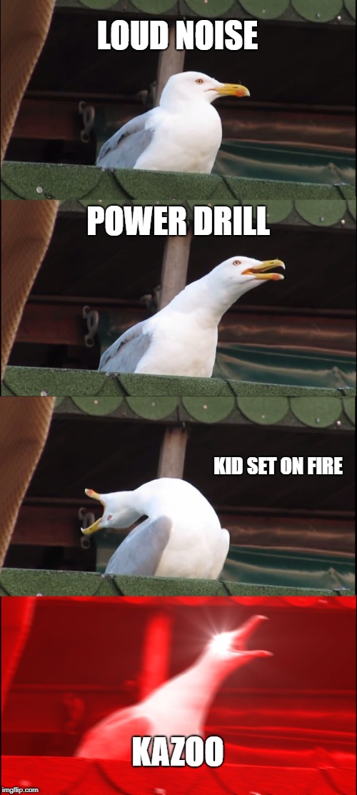 Inhaling Seagull Meme | LOUD NOISE; POWER DRILL; KID SET ON FIRE; KAZOO | image tagged in memes,inhaling seagull | made w/ Imgflip meme maker