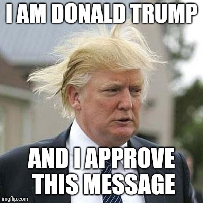 Donald Trump | I AM DONALD TRUMP; AND I APPROVE THIS MESSAGE | image tagged in donald trump | made w/ Imgflip meme maker