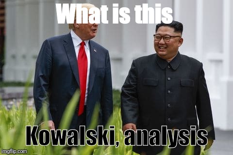 Donald Trump and Kim Jong Un | What is this; Kowalski, analysis | image tagged in donald trump and kim jong un | made w/ Imgflip meme maker