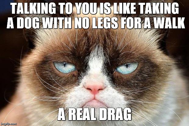 Grumpy Cat Not Amused |  TALKING TO YOU IS LIKE TAKING A DOG WITH NO LEGS FOR A WALK; A REAL DRAG | image tagged in memes,grumpy cat not amused,grumpy cat | made w/ Imgflip meme maker