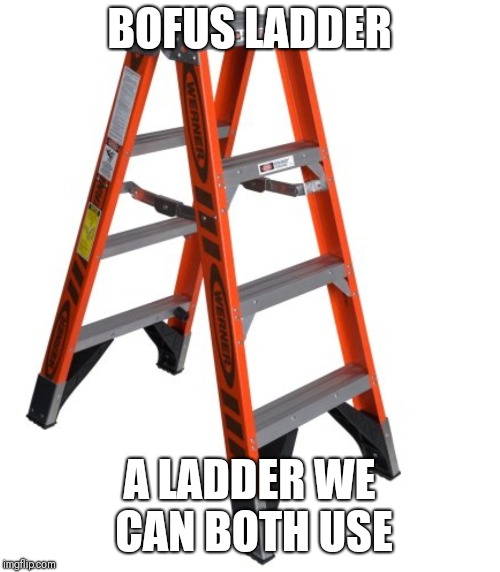 BOFUS LADDER; A LADDER WE CAN BOTH USE | image tagged in ladders | made w/ Imgflip meme maker