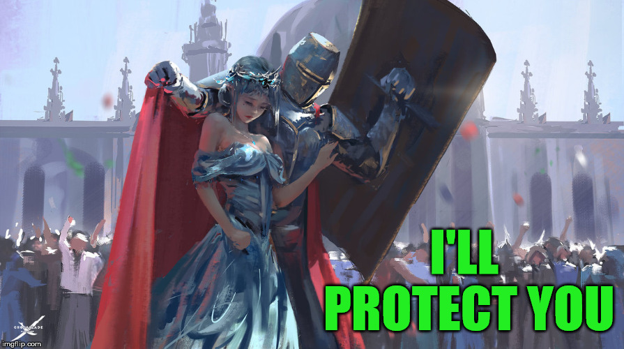 Knight Protecting Princess | I'LL PROTECT YOU | image tagged in knight protecting princess | made w/ Imgflip meme maker