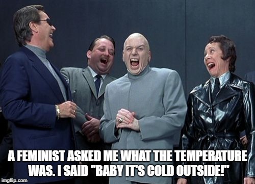 Laughing Villains | A FEMINIST ASKED ME WHAT THE TEMPERATURE WAS. I SAID "BABY IT'S COLD OUTSIDE!" | image tagged in memes,laughing villains | made w/ Imgflip meme maker