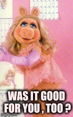 Miss Piggy | WAS IT GOOD FOR YOU , TOO ? | image tagged in miss piggy | made w/ Imgflip meme maker