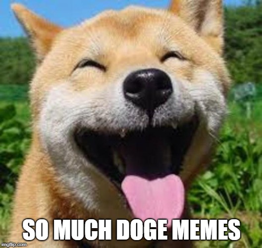 Happy Doge | SO MUCH DOGE MEMES | image tagged in happy doge | made w/ Imgflip meme maker