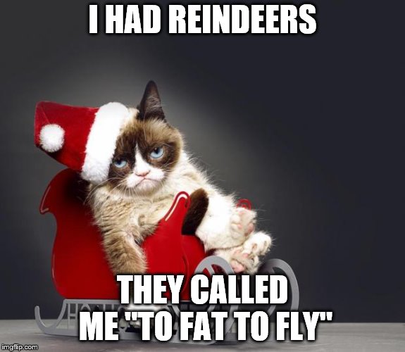 A grumpy Saint Nick | I HAD REINDEERS; THEY CALLED ME "TO FAT TO FLY" | image tagged in grumpy cat christmas hd | made w/ Imgflip meme maker