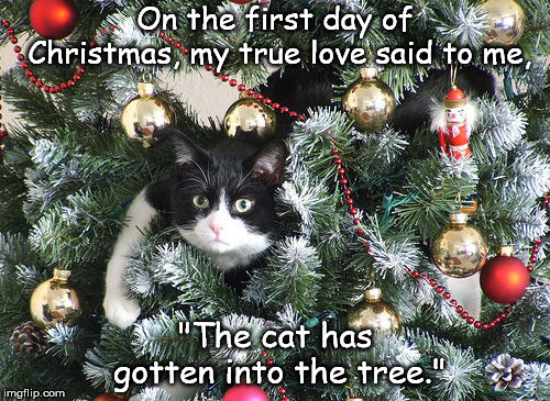 Christmas tree cat | On the first day of Christmas, my true love said to me, "The cat has gotten into the tree." | image tagged in cat,christmas | made w/ Imgflip meme maker