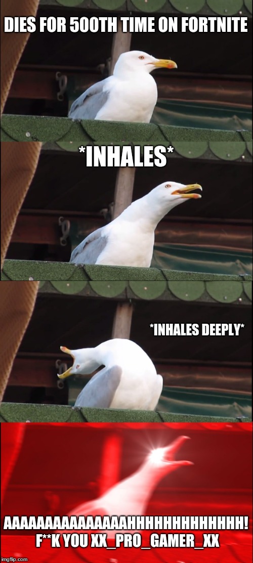 Inhaling Seagull Meme | DIES FOR 500TH TIME ON FORTNITE; *INHALES*; *INHALES DEEPLY*; AAAAAAAAAAAAAAAHHHHHHHHHHHHH! F**K YOU XX_PRO_GAMER_XX | image tagged in memes,inhaling seagull | made w/ Imgflip meme maker