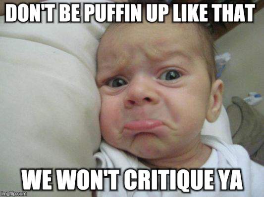 DON'T BE PUFFIN UP LIKE THAT WE WON'T CRITIQUE YA | made w/ Imgflip meme maker