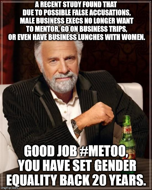 Every good idea gets co-opted by the radical left into a weapon that produces unwanted results. | A RECENT STUDY FOUND THAT DUE TO POSSIBLE FALSE ACCUSATIONS, MALE BUSINESS EXECS NO LONGER WANT TO MENTOR, GO ON BUSINESS TRIPS, OR EVEN HAVE BUSINESS LUNCHES WITH WOMEN. GOOD JOB #METOO, YOU HAVE SET GENDER EQUALITY BACK 20 YEARS. | image tagged in memes,the most interesting man in the world | made w/ Imgflip meme maker