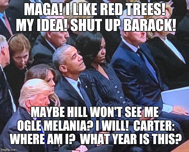 MAGA! I LIKE RED TREES! MY IDEA! SHUT UP BARACK! MAYBE HILL WON'T SEE ME OGLE MELANIA? I WILL!  CARTER: WHERE AM I?  WHAT YEAR IS THIS? | image tagged in presidents | made w/ Imgflip meme maker