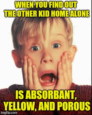 Home Alone Kid  | WHEN YOU FIND OUT THE OTHER KID HOME ALONE IS ABSORBANT, YELLOW, AND POROUS | image tagged in home alone kid | made w/ Imgflip meme maker