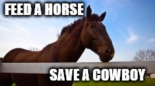 feed a horse | FEED A HORSE; SAVE A COWBOY | image tagged in horse cowboy,horse,cowboy,animals,country animals | made w/ Imgflip meme maker