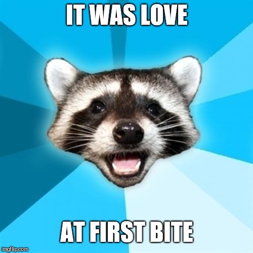 Lame Pun Coon Meme | IT WAS LOVE AT FIRST BITE | image tagged in memes,lame pun coon | made w/ Imgflip meme maker