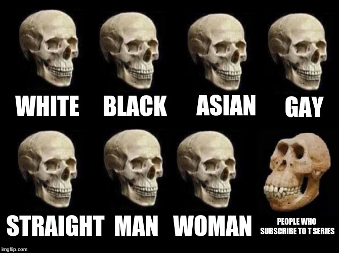 GAY; WHITE; BLACK; ASIAN; STRAIGHT; MAN; PEOPLE WHO SUBSCRIBE TO T SERIES; WOMAN | image tagged in man woman gay straight skull | made w/ Imgflip meme maker