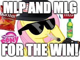 MLG Pony | MLP AND MLG FOR THE WIN! | image tagged in mlg pony | made w/ Imgflip meme maker