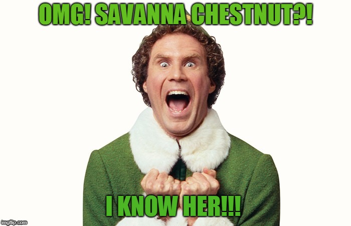 Buddy the elf excited | OMG! SAVANNA CHESTNUT?! I KNOW HER!!! | image tagged in buddy the elf excited | made w/ Imgflip meme maker
