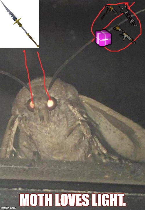 Moth | MOTH LOVES LIGHT. | image tagged in moth | made w/ Imgflip meme maker