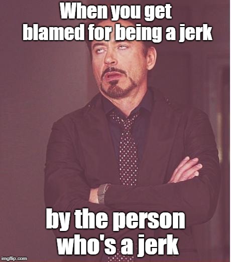 Face You Make Robert Downey Jr Meme | When you get blamed
for being a jerk; by the person who's
a jerk | image tagged in memes,face you make robert downey jr | made w/ Imgflip meme maker
