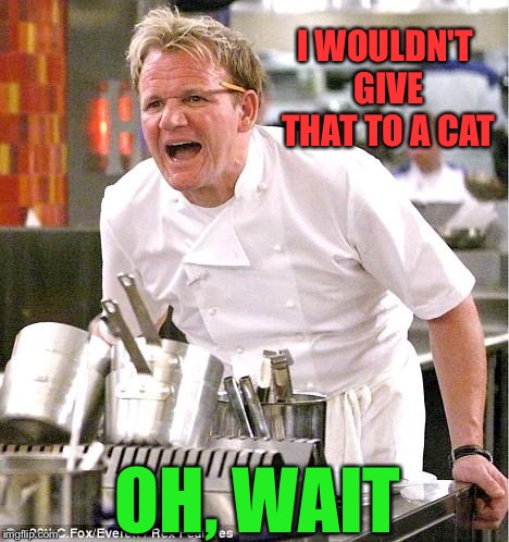 Chef Gordon Ramsay Meme | I WOULDN'T GIVE THAT TO A CAT OH, WAIT | image tagged in memes,chef gordon ramsay | made w/ Imgflip meme maker