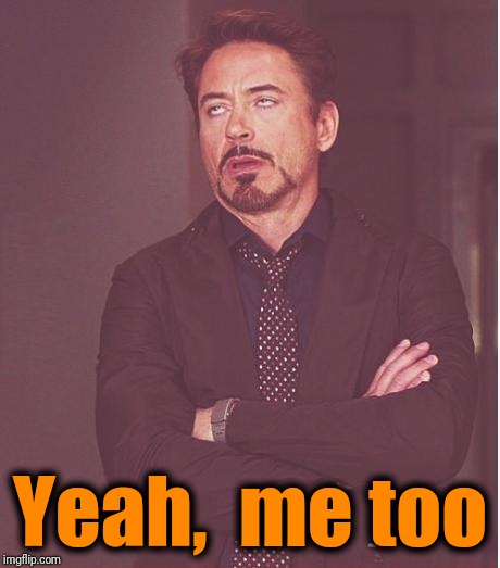 Face You Make Robert Downey Jr Meme | Yeah,  me too | image tagged in memes,face you make robert downey jr | made w/ Imgflip meme maker