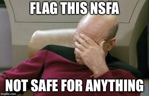 Captain Picard Facepalm Meme | FLAG THIS NSFA NOT SAFE FOR ANYTHING | image tagged in memes,captain picard facepalm | made w/ Imgflip meme maker