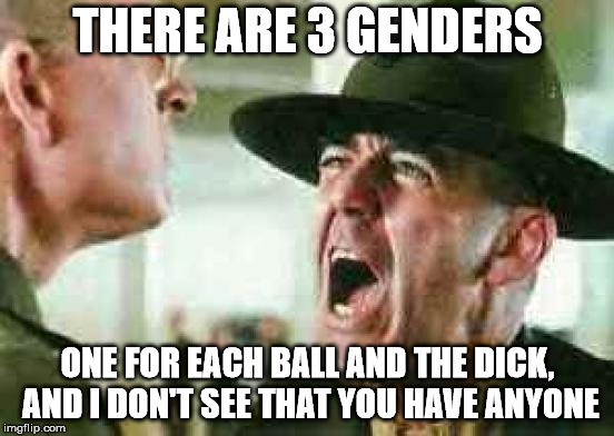drill sergeant yelling | THERE ARE 3 GENDERS; ONE FOR EACH BALL AND THE DICK, AND I DON'T SEE THAT YOU HAVE ANYONE | image tagged in drill sergeant yelling | made w/ Imgflip meme maker