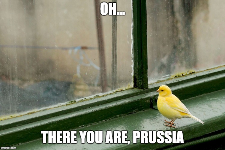 yellow bird | OH... THERE YOU ARE, PRUSSIA | image tagged in yellow bird | made w/ Imgflip meme maker