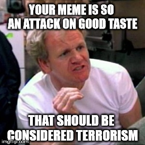 gordon ramsey | YOUR MEME IS SO AN ATTACK ON GOOD TASTE; THAT SHOULD BE CONSIDERED TERRORISM | image tagged in gordon ramsey | made w/ Imgflip meme maker