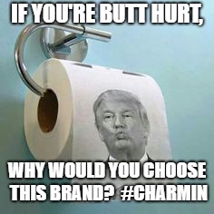 Trump Toilet Paper | IF YOU'RE BUTT HURT, WHY WOULD YOU CHOOSE THIS BRAND?  #CHARMIN | image tagged in trump toilet paper | made w/ Imgflip meme maker