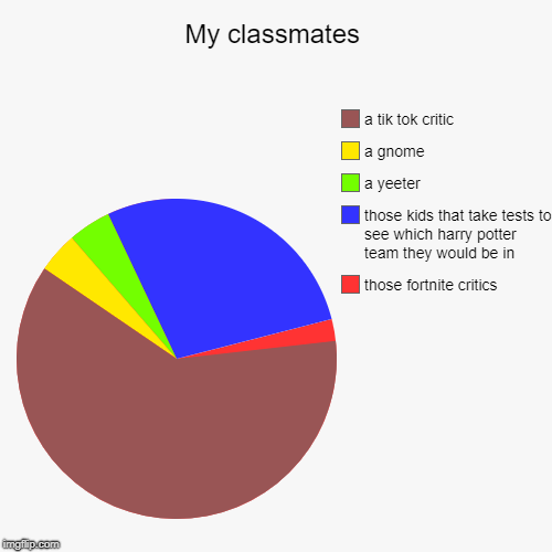 My classmates | those fortnite critics, those kids that take tests to see which harry potter team they would be in, a yeeter, a gnome, a tik | image tagged in funny,pie charts | made w/ Imgflip chart maker