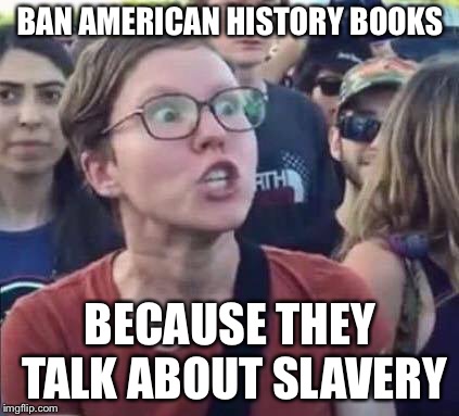 Angry Liberal | BAN AMERICAN HISTORY BOOKS BECAUSE THEY TALK ABOUT SLAVERY | image tagged in angry liberal | made w/ Imgflip meme maker