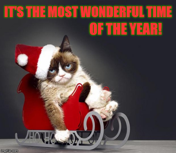 Grumpy Cat Christmas HD | IT'S THE MOST WONDERFUL TIME OF THE YEAR! | image tagged in grumpy cat christmas hd | made w/ Imgflip meme maker