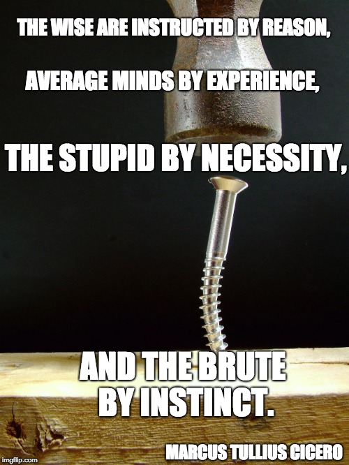 Methodology | THE WISE ARE INSTRUCTED BY REASON, AVERAGE MINDS BY EXPERIENCE, THE STUPID BY NECESSITY, AND THE BRUTE BY INSTINCT. MARCUS TULLIUS CICERO | image tagged in reason,experience,stupidity,force | made w/ Imgflip meme maker